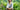 Holistic Approach to Nervous System Stress Relief with natural medicine and Nerve Aid from Sana Herbal Science