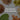 Whole Herb vs. Standardized Extract: The Tradeoff Nobody Explains